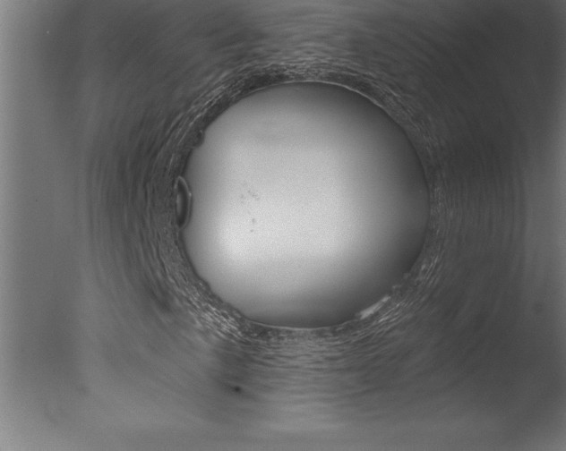 X0000077311057200610200836
