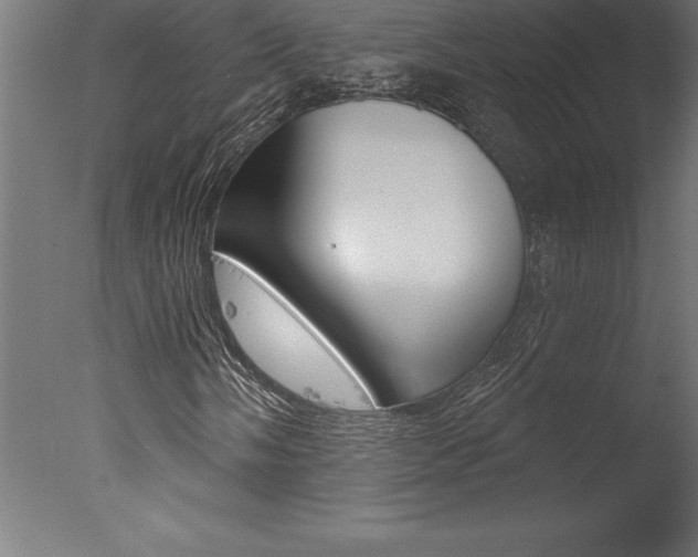 X0000077311058200610200836