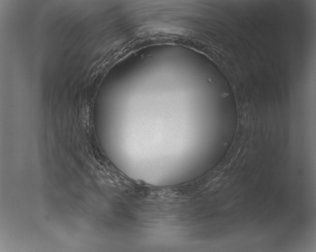 X0000077311061200610200836