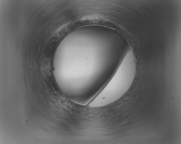 X0000077311062200610200836