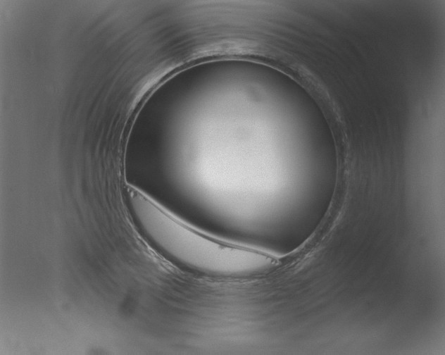 X0000077311081200610200835