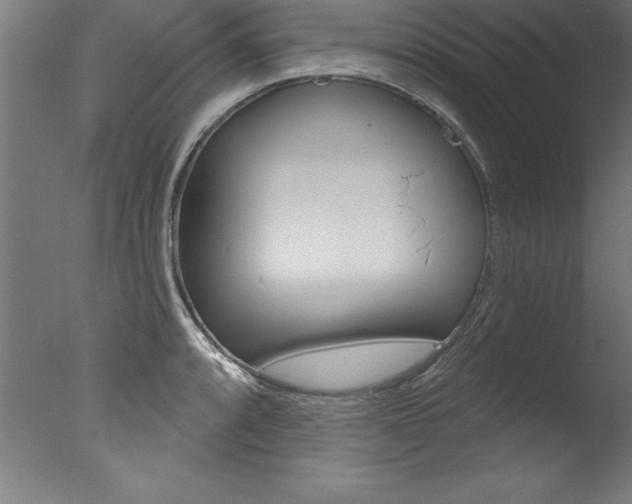 X0000077311088200610200835