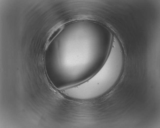 X0000077311089200610200835