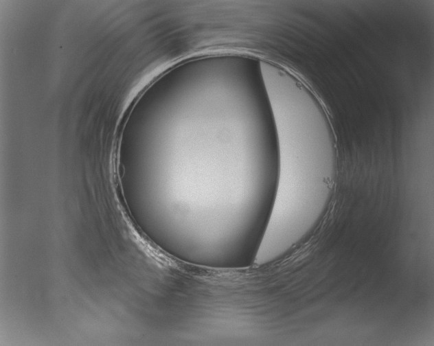 X0000077311101200610200835