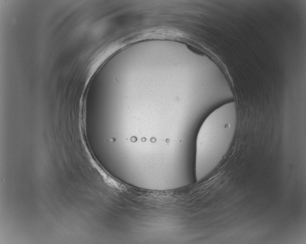 X0000077311103200610200835