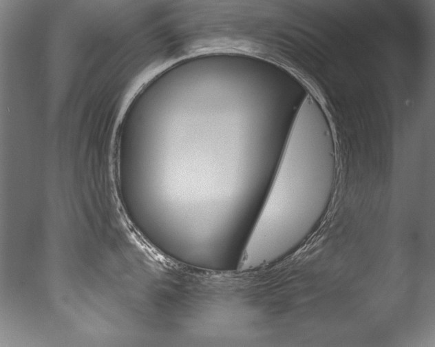 X0000077311104200610200835