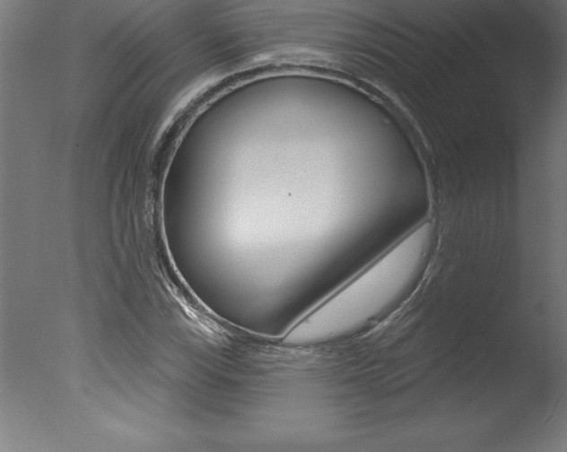 X0000077311115200610200834