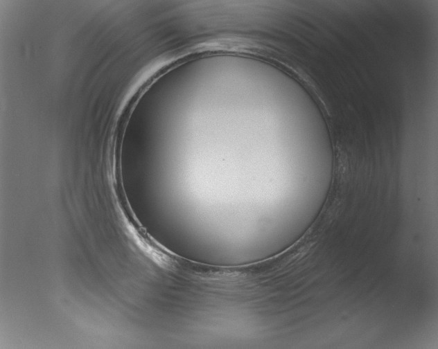 X0000077311131200610200835