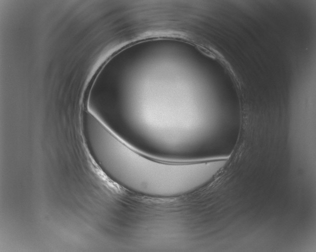 X0000077311140200610200835