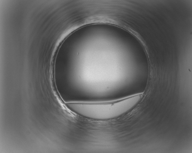 X0000077311144200610200835