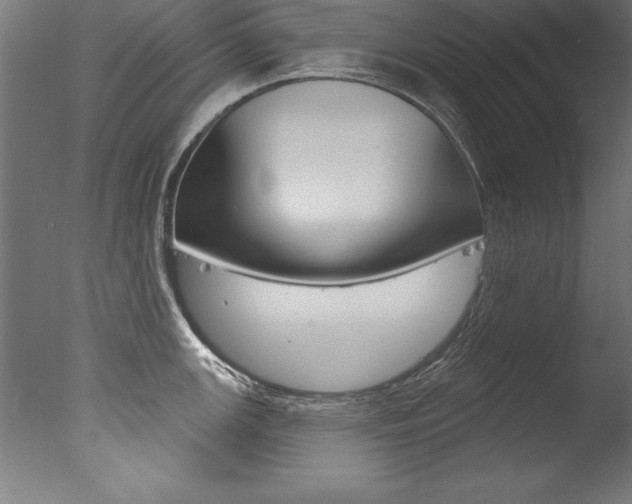 X0000077311147200610200835