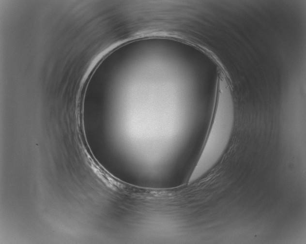 X0000077311148200610200835