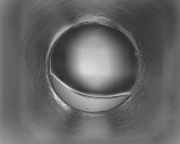 X0000077311152200610200835