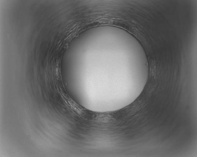 X0000077311154200610200834