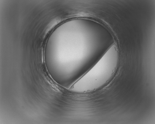 X0000077311171200610200834