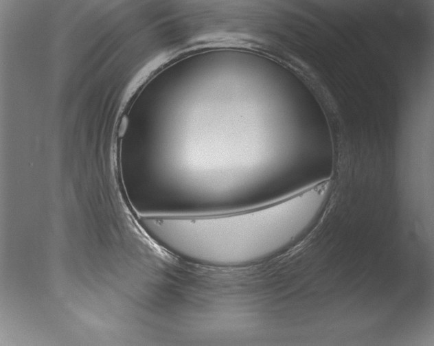 X0000077311188200610200833