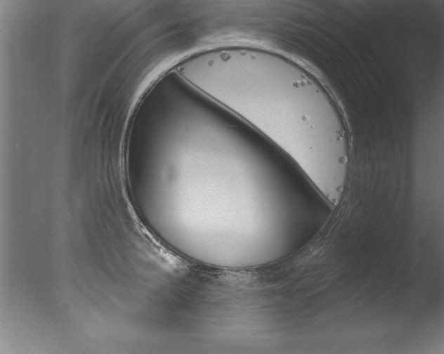 X0000077311191200610200833