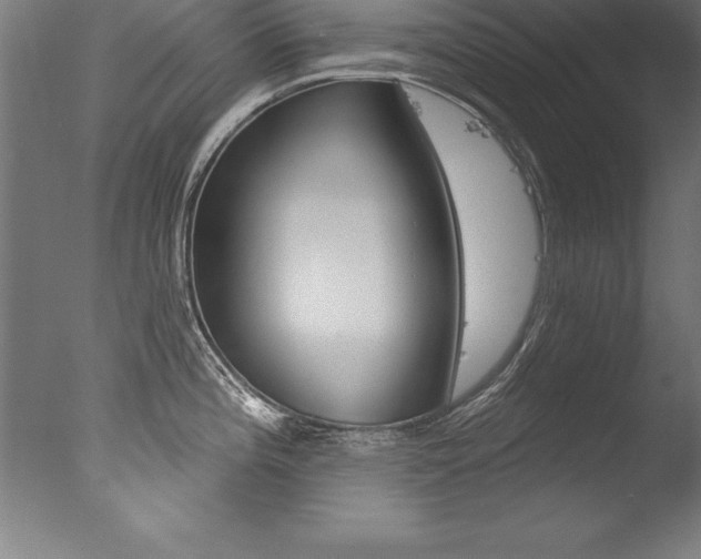 X0000077311196200610200833
