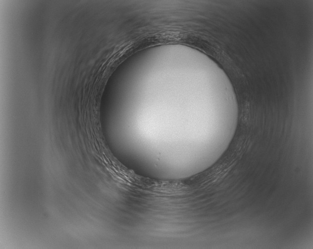X0000077311201200610200832