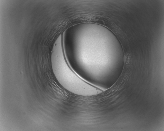 X0000077311202200610200832