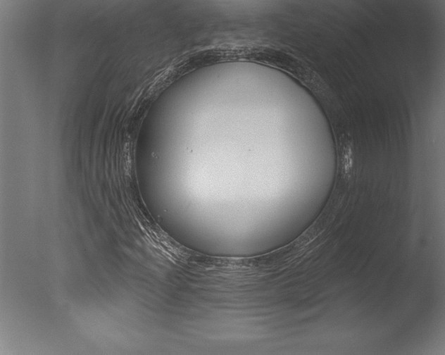 X0000077311204200610200833