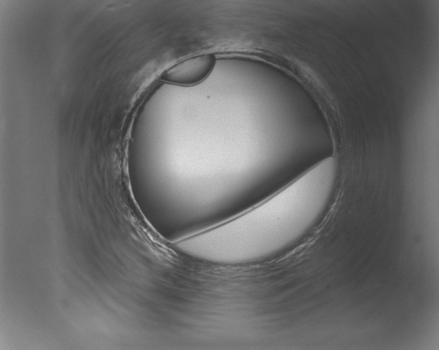 X0000077311212200610200833