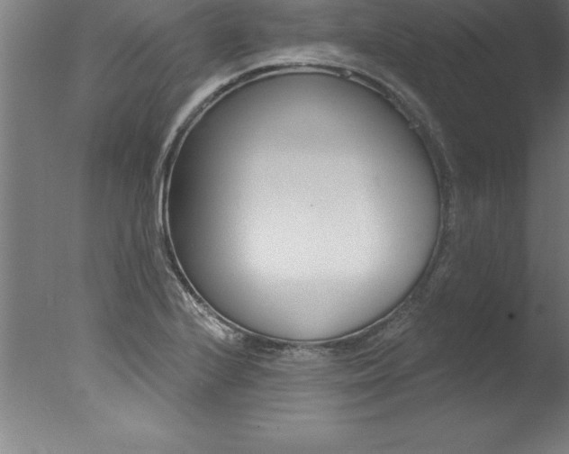 X0000077311224200610200833