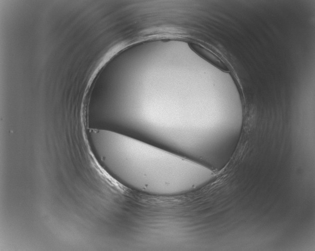 X0000077311243200610200833