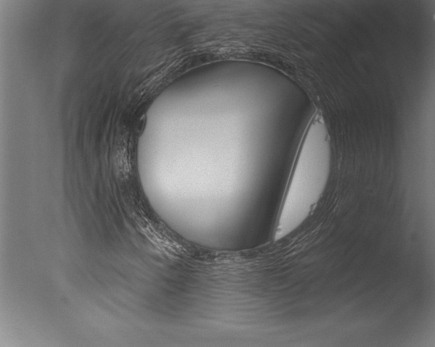 X0000077311250200610200832