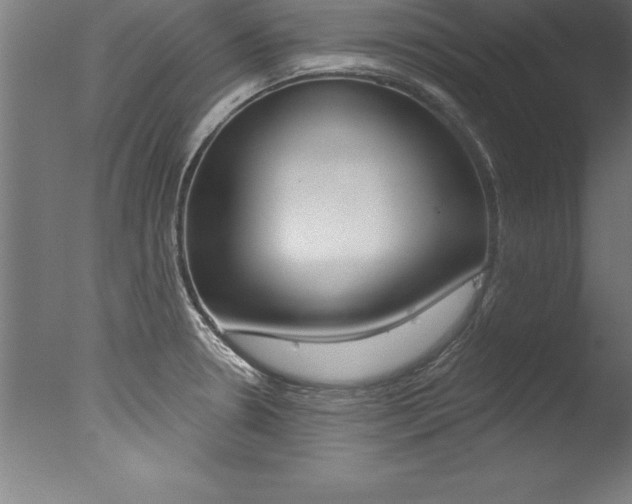 X0000077311330200610200831