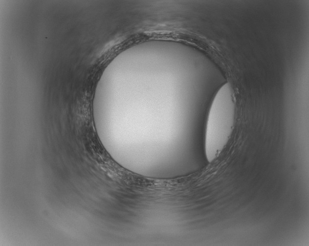 X0000077311350200610200831