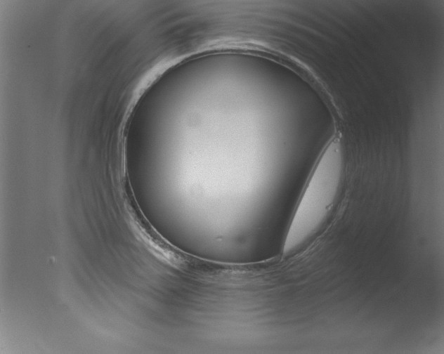 X0000077311371200610200830