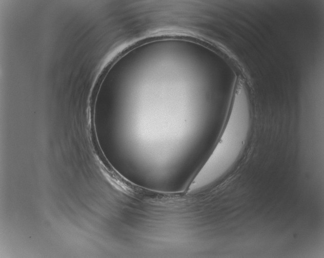 X0000077311372200610200830