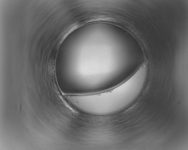 X0000077311377200610200830