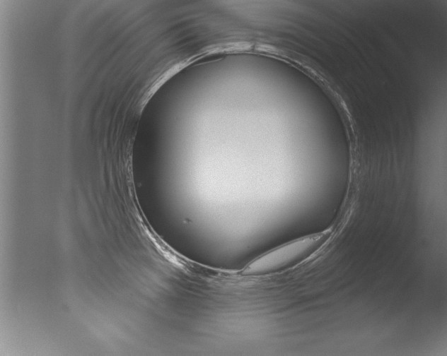 X0000077311385200610200830