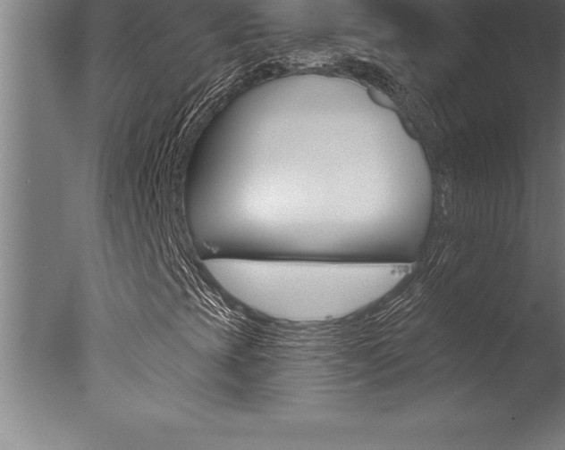 X0000077311393200610200829