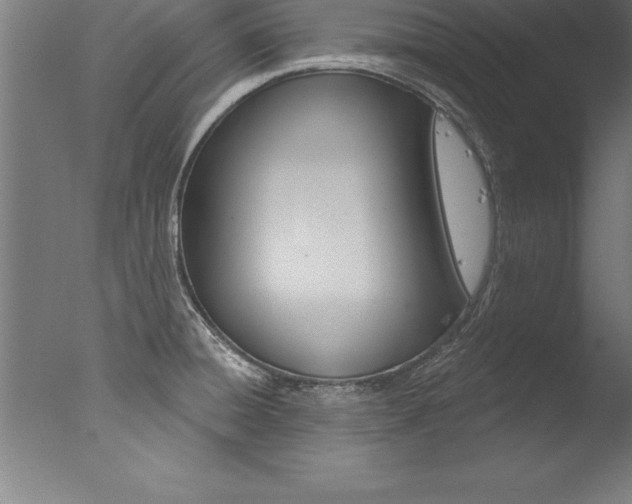 X0000077311428200610200830