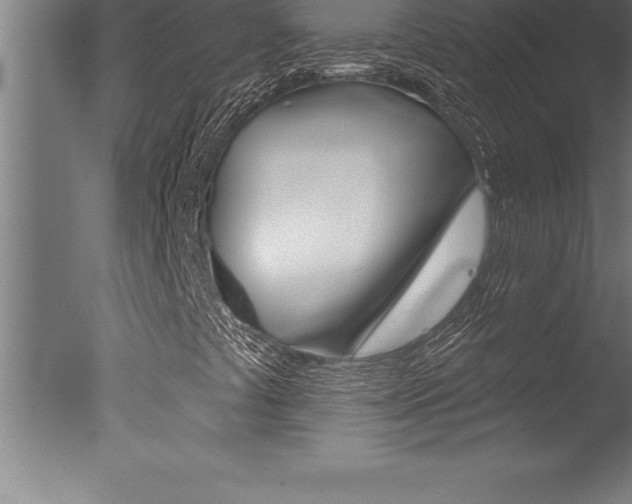 X0000077311441200610200829