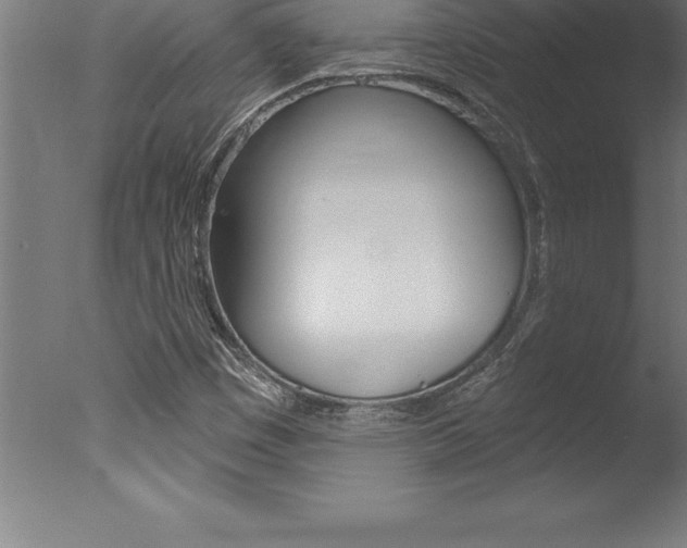 X0000077311449200610200829