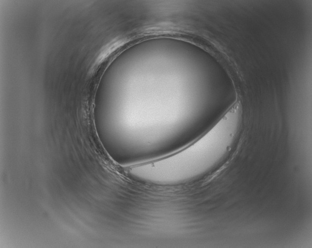 X0000077311453200610200829