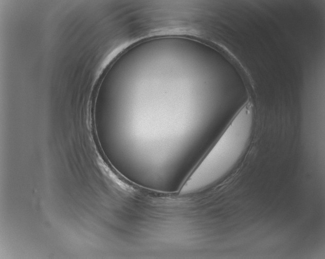 X0000077311468200610200829