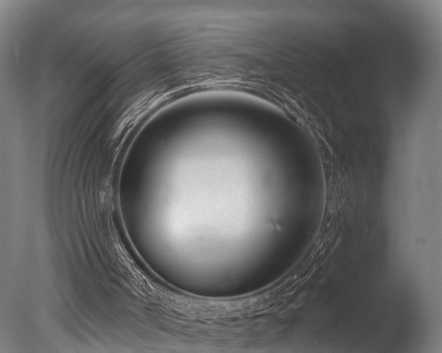 X0000077310002200610201205
