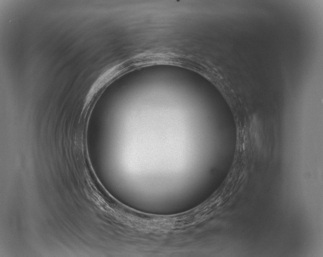 X0000077310004200610201205