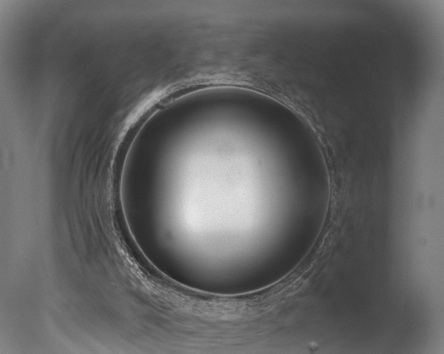 X0000077310008200610201205