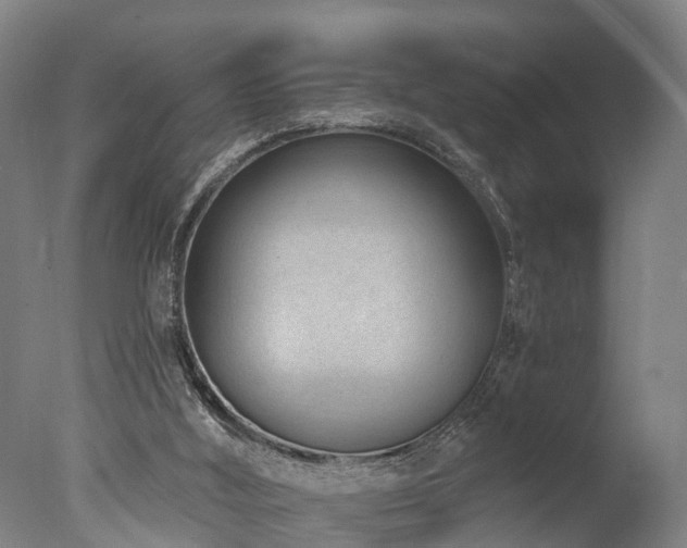 X0000077310012200610201205