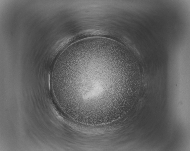 X0000077310014200610201205
