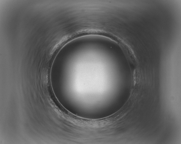 X0000077310015200610201205