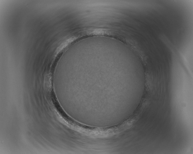 X0000077310016200610201205