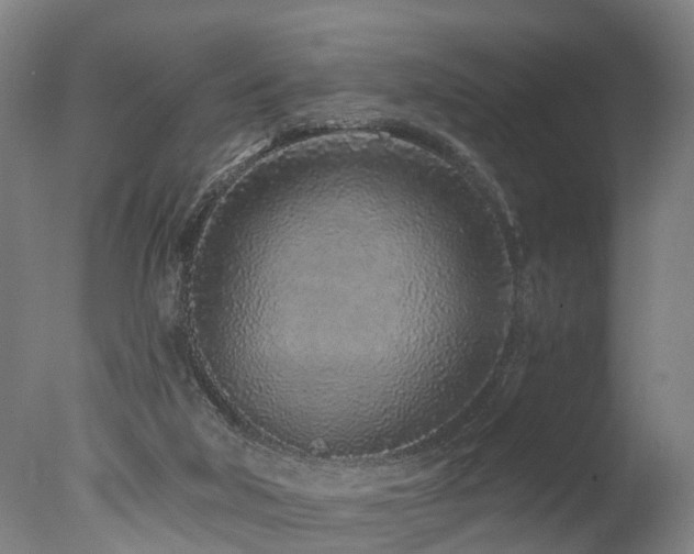 X0000077310018200610201205