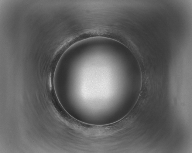 X0000077310020200610201205